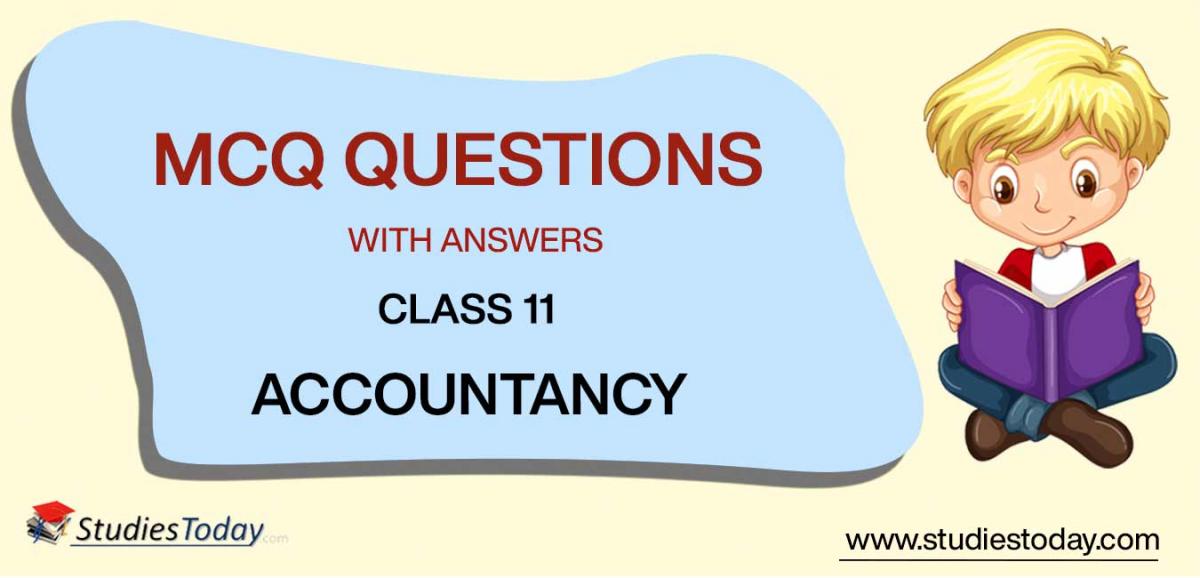 MCQ Class 11 Accountancy with Answers Pdf Download